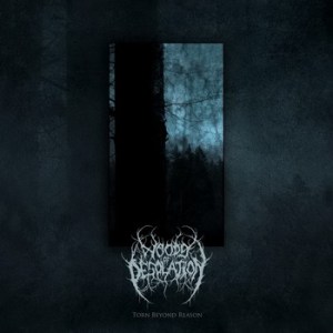 Woods of Desolation - Torn Beyond Reason